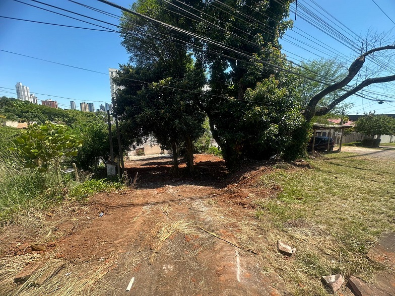 Terreno 